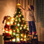 SAPINOU™ - MONTESSORI CHRISTMAS TREE My American Store